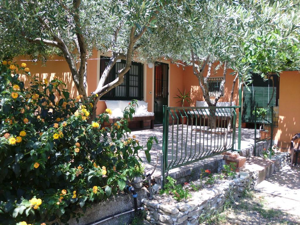 Holiday home Il Vigneto 