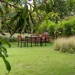 Woods At Sasan