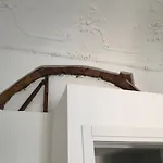 Fraleporte