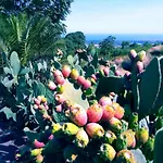 Casa Piedimonte Mare Etna