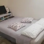 Nikuzza Apartment