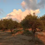Campagna D'Amore