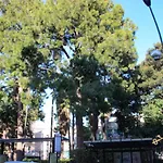 Cathedral Home