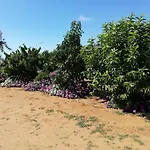 Villa Con Bella Vista Mare