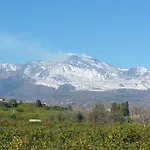 Tulipano 7