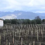 La Casa Nel Vigneto Di Tenuta Bastonaca