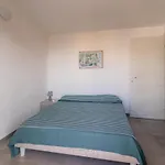 Narciso House