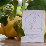 Il Fenicottero Guest House