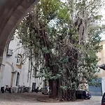 Mela Verde