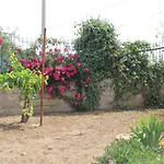 Ca' Regia Raganella