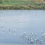 Flamingo House