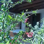 Margiu'