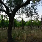 Alle Pendici Dell'Etna - Casa A Statella - Nino'S Home