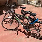 La Giuggiulena, Appartamento In Pieno Centro