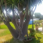 La Stanza Delle Muse In Villa Con Piscina