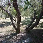 Casa Campagna Nicola