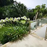 L'Agapanto
