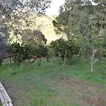 La Casetta Nel Bosco