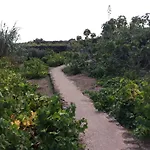 La Magnifica