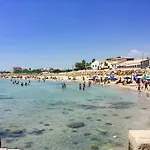Cocciu D'Amuri