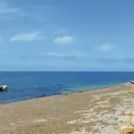 La Pineta