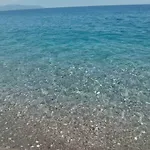 Favignana Margothouse White Blue Arancio