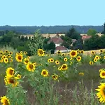 Charmante Demeure 17E Avec Piscine Privative, Grand Jardin Et Patrimoine Riche En Touraine Sud. - Fr-1-381-368