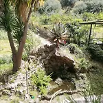 La Gallizza
