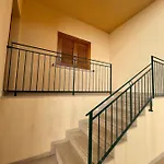 Ciuridicustonaci