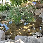 Vita In Campagna