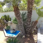 Il Giadino Di Enea