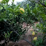 La Fattoria Sul Mare