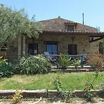 Villa Degli Ulivi