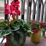La Valigia Sul Letto
