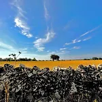 Centopassi Noto B&B
