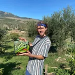 Sicilian Mountain Oasis
