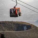 Le Rose dell'Etna