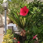 Casa Cappero