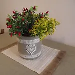 Casetta_Jolanda