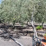 Villa Ninina Nel Cuore Del Parco Dell'Etna X10