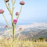 Casa 3T A Isola A 15 Min Dal Centro Di Palermo