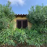 Villa Maveda, Un Dammuso Immerso Nel Verde