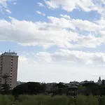 Papali 289