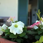 Tenuta Piana 2 Con Accesso Diretto Al Mare