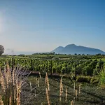 Tenuta Di Castellaro Winery & Resort