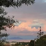 Splendid View