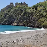 Ntonia Holiday