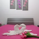 Tulipano