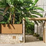 Il Giardino Di Antonella 2