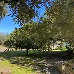 The Ancient Sicilian House Near Zingaro Reserve Scopello